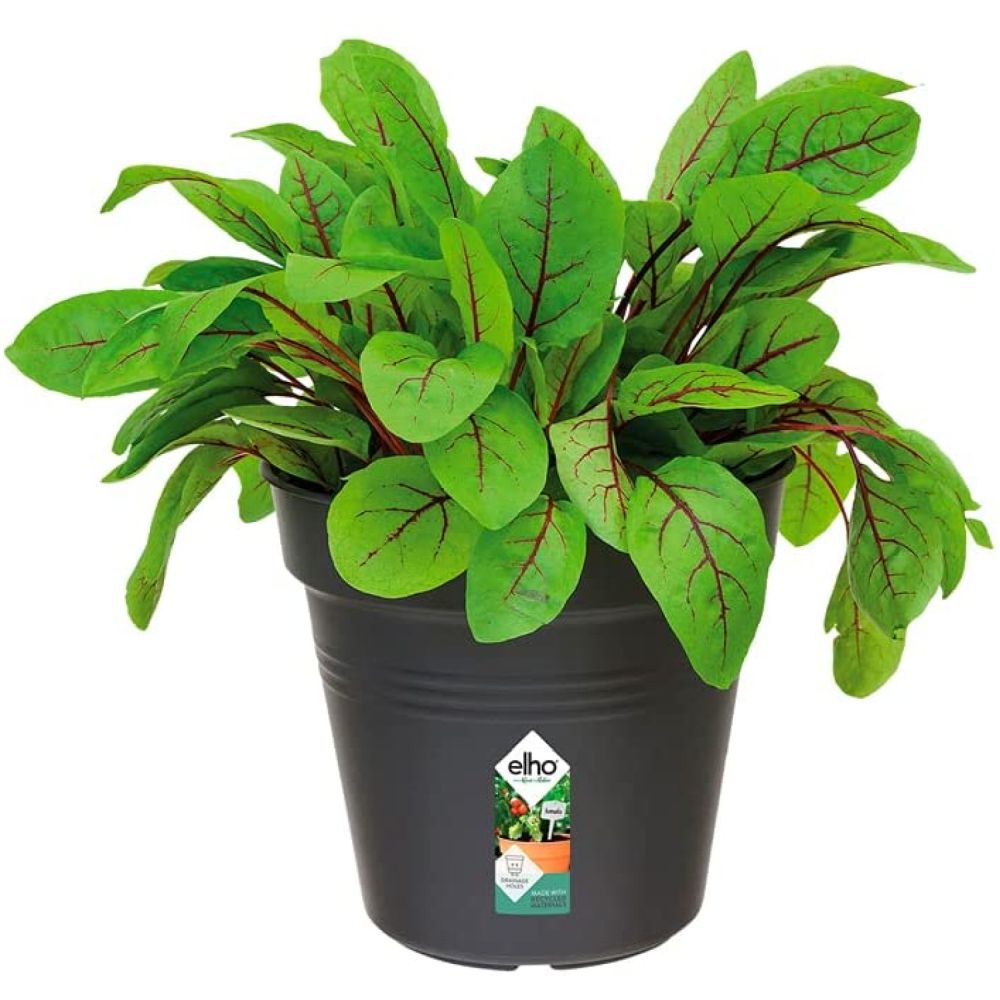 Elho 13cm Living Black Green Basics Growpot - Old Railway Line Garden Centre