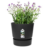 Elho 14cm Living Black Greenville Round Planter - Old Railway Line Garden Centre