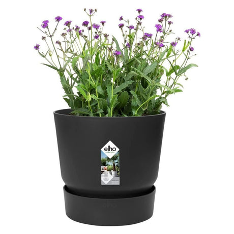 Elho 14cm Living Black Greenville Round Planter - Old Railway Line Garden Centre