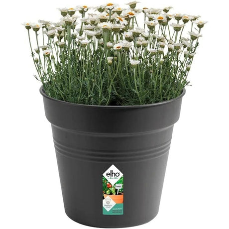 Elho 15cm Living Black Green Basics Growpot