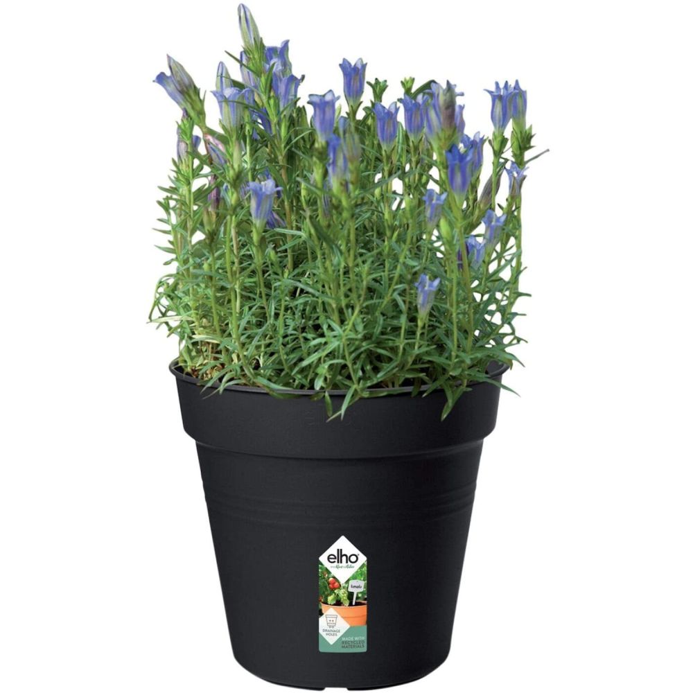 Elho 17cm Living Black Green Basics Growpot