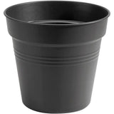 Elho 21cm Living Black Green Basics Growpot - Old Railway Line Garden Centre