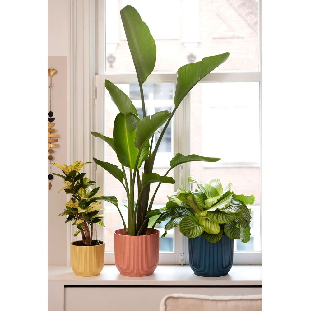 Elho 25cm Deep Blue Vibes Fold Round Pot - Old Railway Line Garden Centre