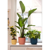 Elho 25cm Deep Blue Vibes Fold Round Pot - Old Railway Line Garden Centre