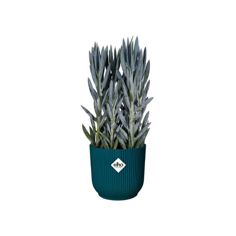 Elho 25cm Deep Blue Vibes Fold Round Pot - Old Railway Line Garden Centre