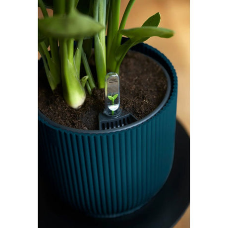 Elho 25cm Deep Blue Vibes Fold Round Pot - Old Railway Line Garden Centre