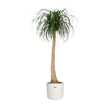 Elho 25cm White B.For Soft Round Pot - Old Railway Line Garden Centre