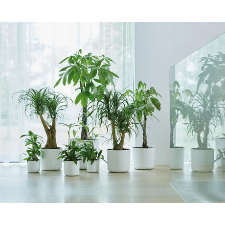 Elho 35cm White B. For Soft Round Pot - Old Railway Line Garden Centre