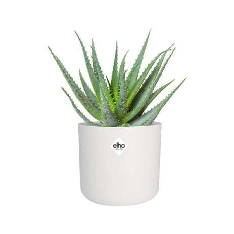 Elho 35cm White B. For Soft Round Pot - Old Railway Line Garden Centre