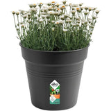 Elho 40cm Living Black Green Basics Growpot