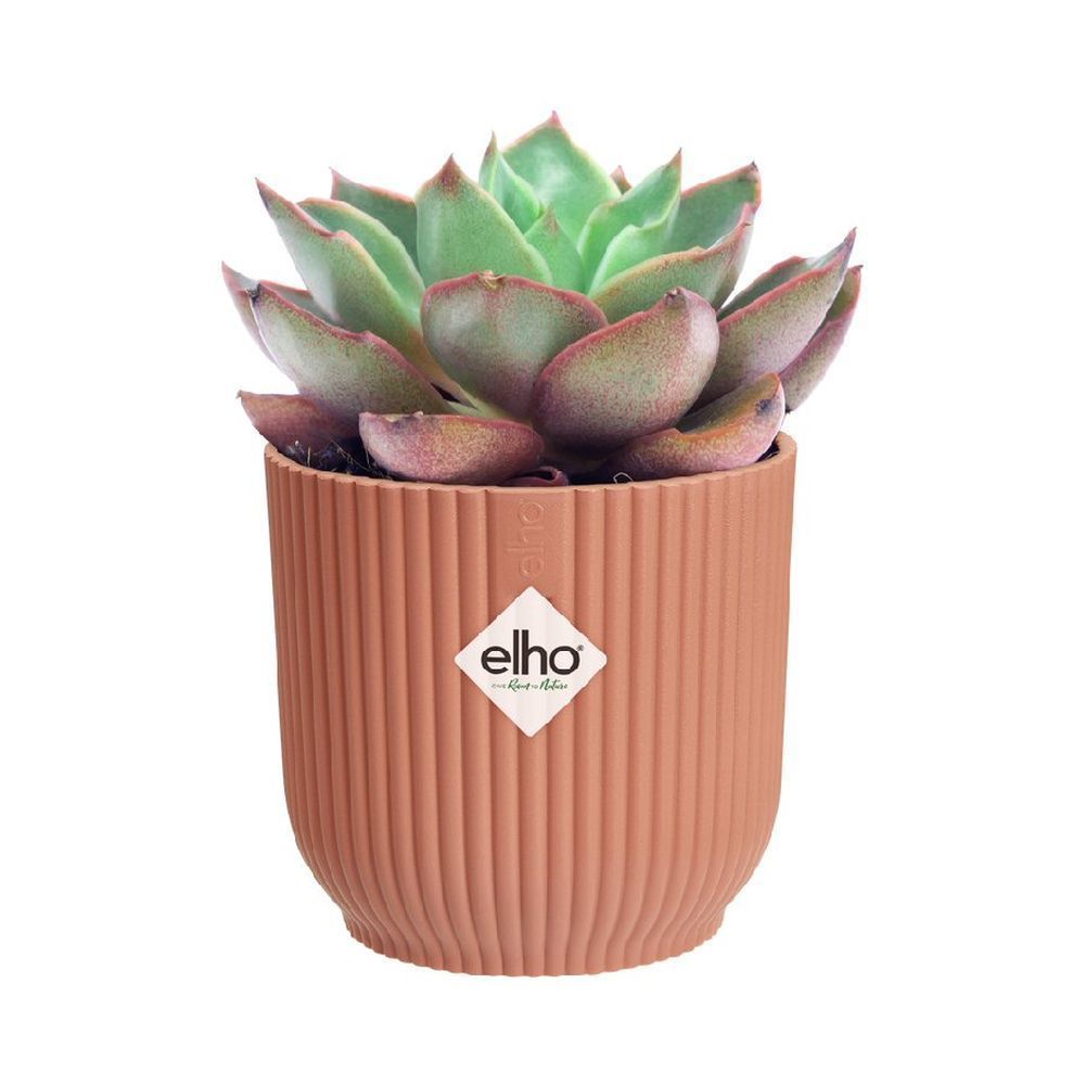 Elho 7cm Delicate Pink Vibes Fold Mini Round Pot - Old Railway Line Garden Centre