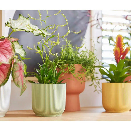 Elho 7cm Sorbet Green Vibes Fold Mini Round Pot - Old Railway Line Garden Centre