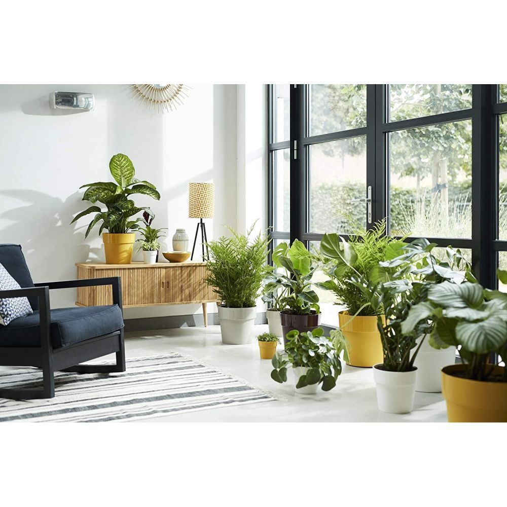 Elho 9cm Ochre B.For Original Round Mini Pot - Old Railway Line Garden Centre