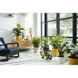 Elho 9cm Ochre B.For Original Round Mini Pot - Old Railway Line Garden Centre