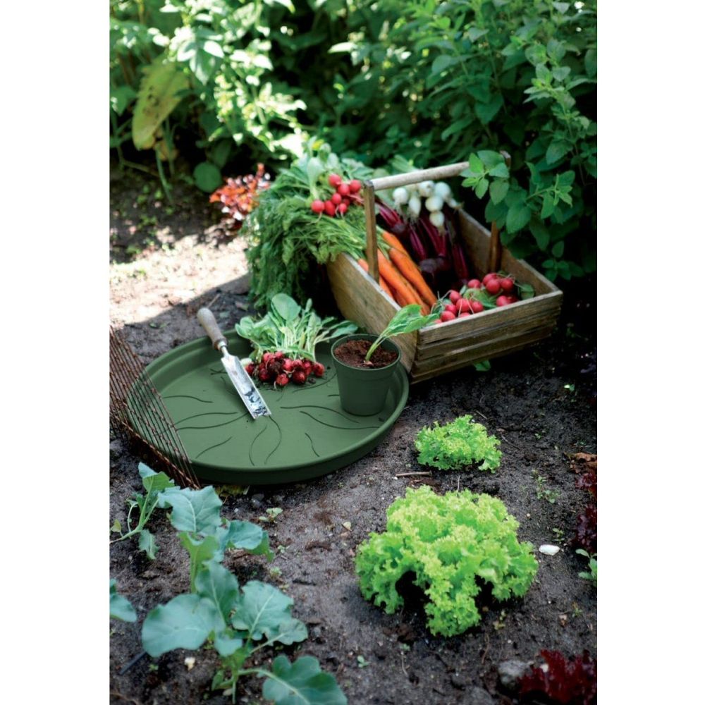 Elho Green Basics 14cm Leaf Green Saucer - Old Railway Line Garden Centre