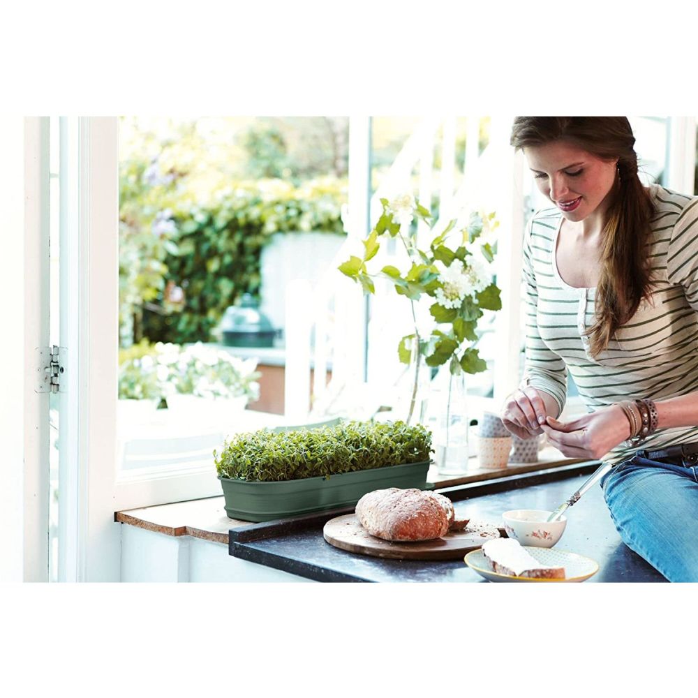 Elho Large Green Basics Leaf Green Grow Tray - Old Railway Line Garden Centre