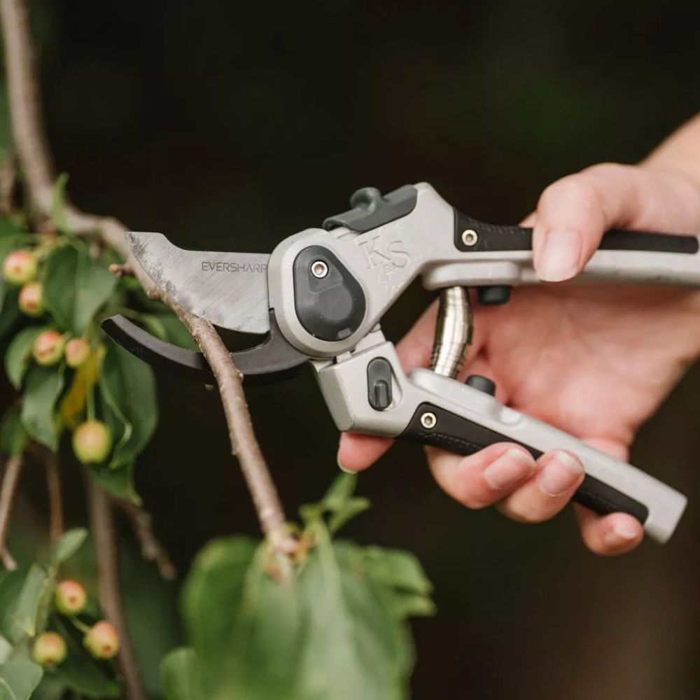 Eversharp All Purpose Secateurs - Old Railway Line Garden Centre