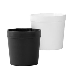 Fallen Fruits 11cm Small Window Pot (Choice of 2) - Old Railway Line Garden Centre