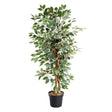 Faux Decor 130cm Artificial Weeping Fig Houseplant - Old Railway Line Garden Centre
