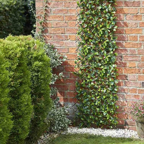 Faux Decor 180cm x 90cm Artificial Lemon Leaf Trellis - Old Railway Line Garden Centre