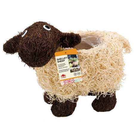 Flamboya 35cm Shelley Sheep Rattan Funimal Planter - Old Railway Line Garden Centre
