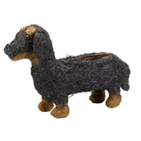 Flamboya 45cm Sausage Dog Rattan Planter - Old Railway Line Garden Centre