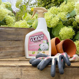 FungusClear Ultra 800ml Ready to Use Gun - Old Railway Line Garden Centre