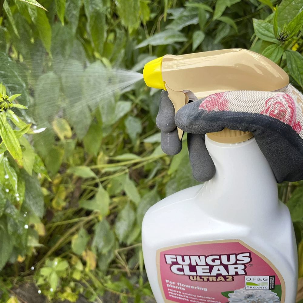 FungusClear Ultra 800ml Ready to Use Gun - Old Railway Line Garden Centre