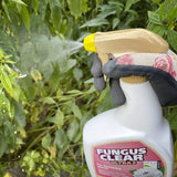 FungusClear Ultra 800ml Ready to Use Gun - Old Railway Line Garden Centre