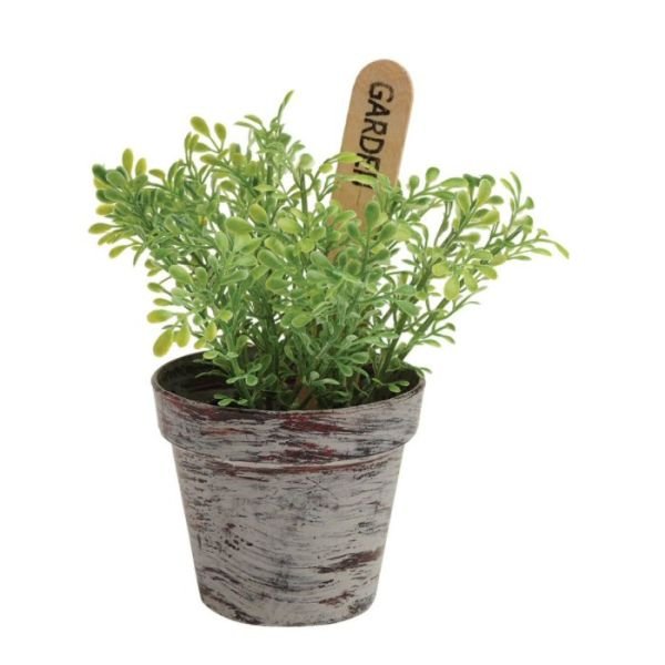 Gardman Mixed Artificial Herb Plastic Plant (Choice of 3) - Old Railway Line Garden Centre