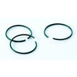 Gardman PVC Coated Plant Rings (Pack of 50) - Old Railway Line Garden Centre