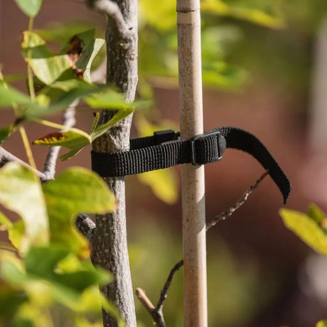 Gardman Rose, Shrub & Tree Ties (Pack of 4) - Old Railway Line Garden Centre