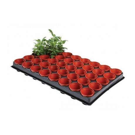 Garland Professional 40 Pot Seed and Cutting Tray - Old Railway Line Garden Centre