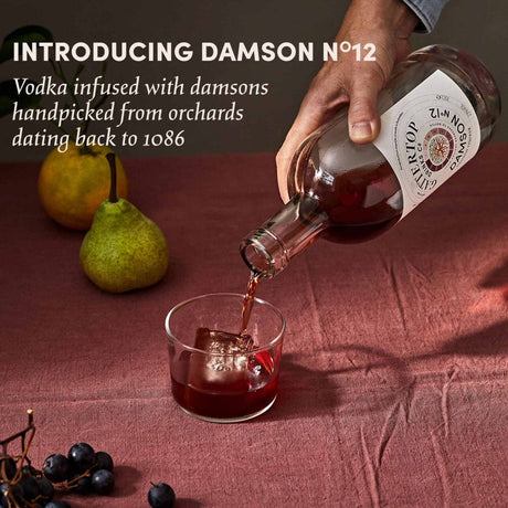Gattertop Botanic 70cl No12 Damson Vodka - Old Railway Line Garden Centre