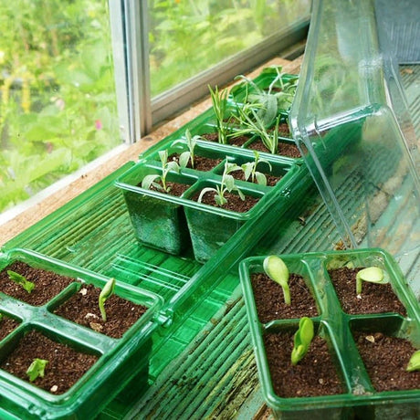 Gro - Sure 20 Cells Green Visiroot Windowsill Propagator Set - Old Railway Line Garden Centre