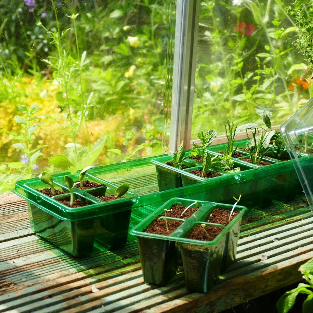 Gro - Sure 24 Cell Green Visiroot Twin Propagator Set - Old Railway Line Garden Centre