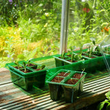 Gro - Sure 24 Cell Green Visiroot Twin Propagator Set - Old Railway Line Garden Centre