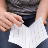 Growing Success Apple Maggot Monitoring Trap - Old Railway Line Garden Centre