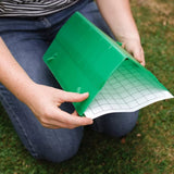 Growing Success Apple Maggot Monitoring Trap - Old Railway Line Garden Centre