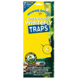 Growing Success Greenhouse Whitefly Traps (Pack of 7) - Old Railway Line Garden Centre