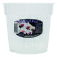 Growth Technology 15cm Clear Orchid Pot - Old Railway Line Garden Centre