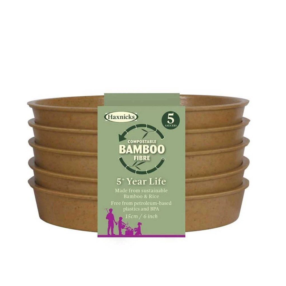 Haxnicks 15cm (6"Teracotta Bamboo Saucers (Pack of 5) - Old Railway Line Garden Centre