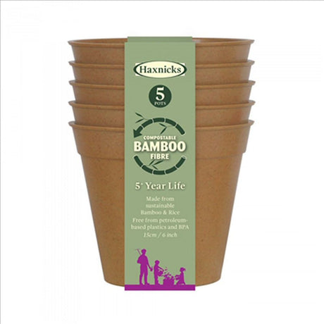 Haxnicks 15cm (6"Terracotta Bamboo Pots (Pack of 5) - Old Railway Line Garden Centre