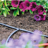 Hozelock 10m Micro Irrigation Tube Hose (4mm) - Old Railway Line Garden Centre