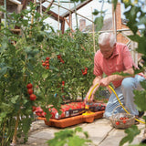 Hozelock Growbag Waterer - Old Railway Line Garden Centre