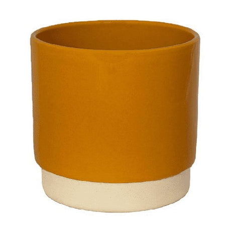 Ivyline 10cm Eno Mustard Pot - Old Railway Line Garden Centre