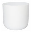 Ivyline 11.5cm White Lisbon Planter - Old Railway Line Garden Centre