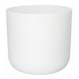 Ivyline 15cm White Lisbon Planter - Old Railway Line Garden Centre