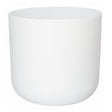 Ivyline 24cm White Lisbon Planter - Old Railway Line Garden Centre