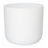 Ivyline 24cm White Lisbon Planter - Old Railway Line Garden Centre